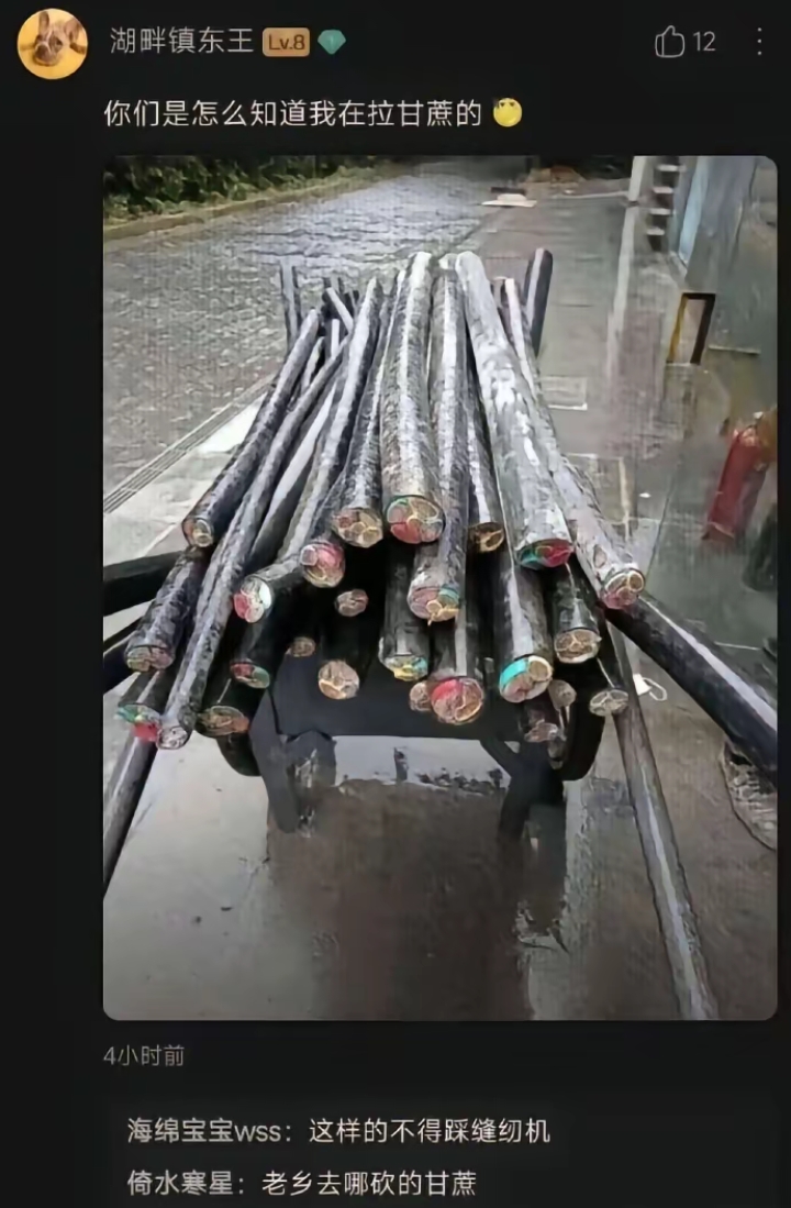 你们是怎么知道我在拉甘蔗的