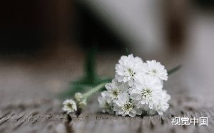 我死之后，所有人不再逼我原谅