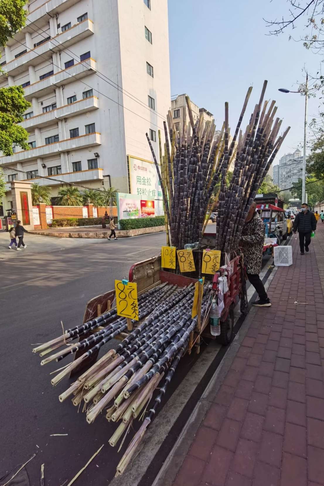 这甘蔗价格，已经逆天了！