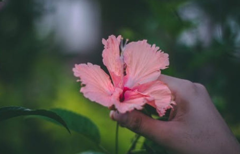 当面对男人的背叛时，女性必须学会坚强与冷静。这种背叛无疑是一种深深的伤害，但沉溺