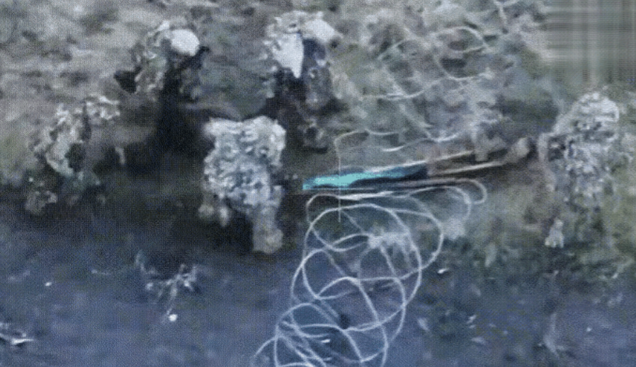 这段朝鲜大兵被乌军俘虏的视频千万别让“80金”看到，否则泽连斯基就要倒大霉了！
