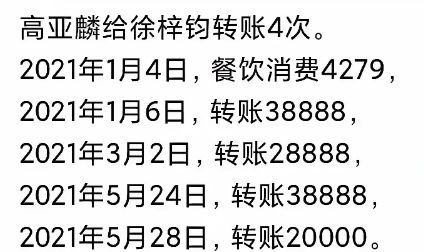 突然发现和明星玩乐也不贵啊！看看高亚麟的转账记录不难发现，那个美女每次的服务价格