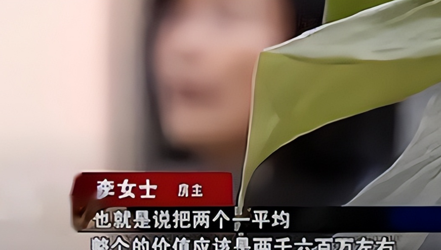 2001年，武汉李女士花110万买下了一套临街商铺，11年后为修地铁拆迁，政府给