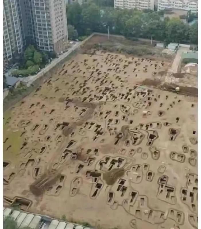 网友：这才是小区最老的业主吧。。。[灵光一闪]