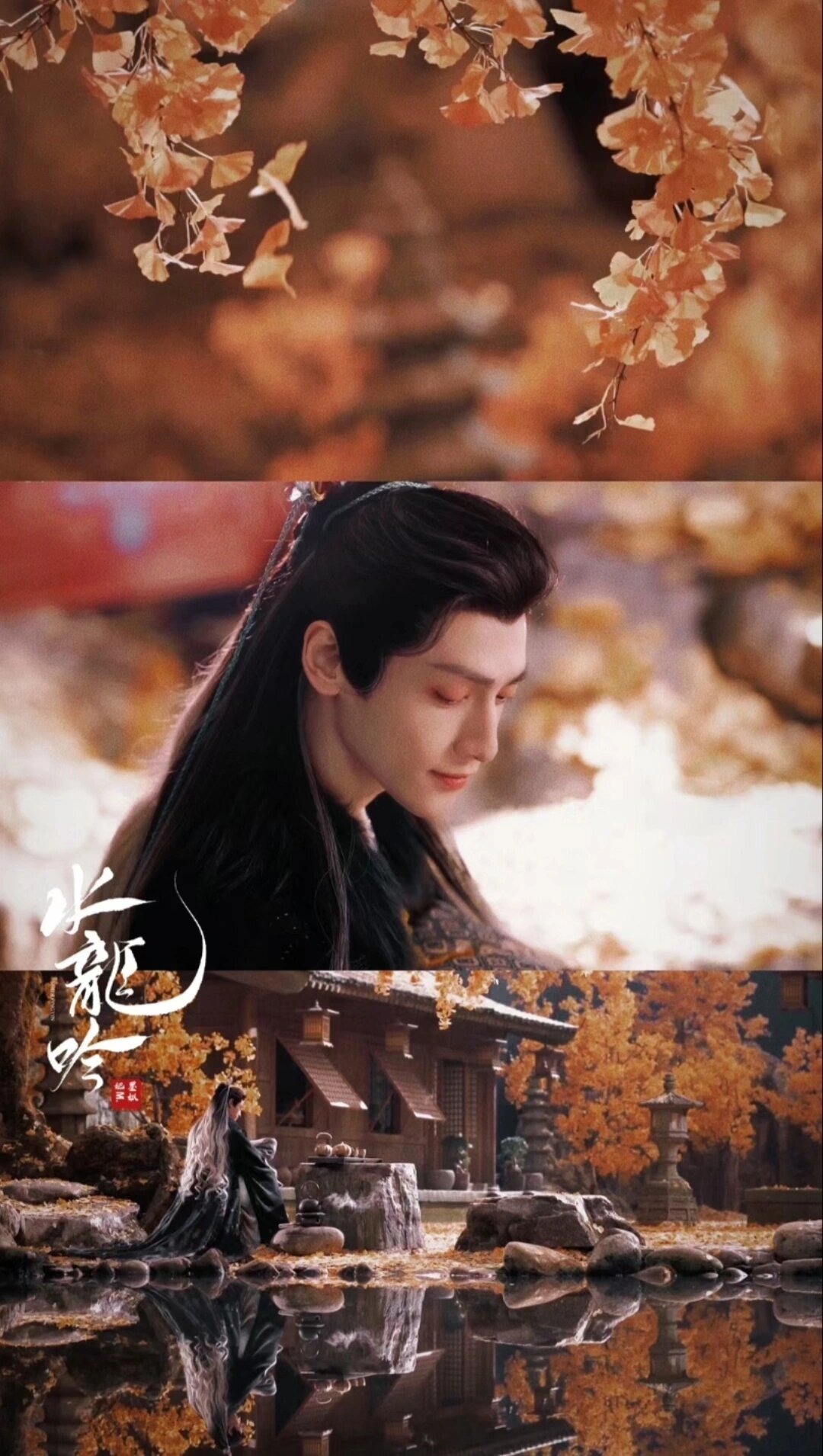 龙年就看水龙吟，接一波好运耶