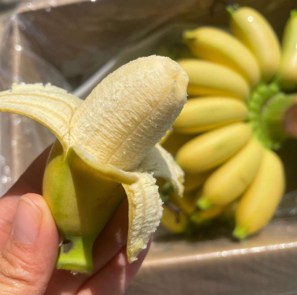 这是什么品种的香蕉，怎么这么短