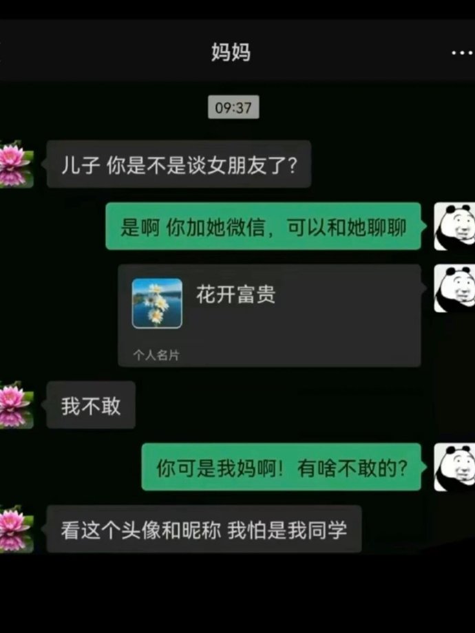 看完这些聊天记录犯困的我瞬间清醒了