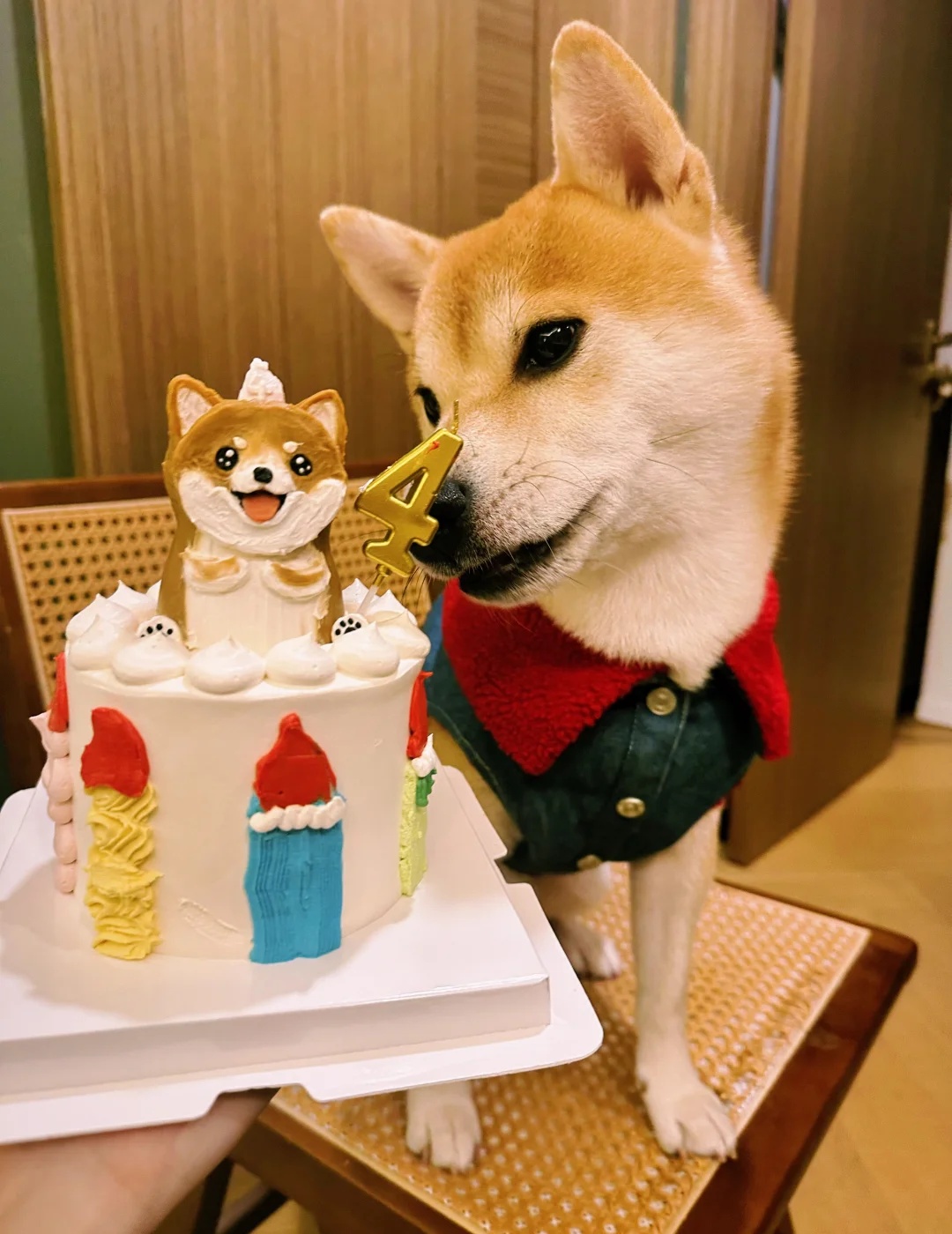 狗狗生日蛋糕