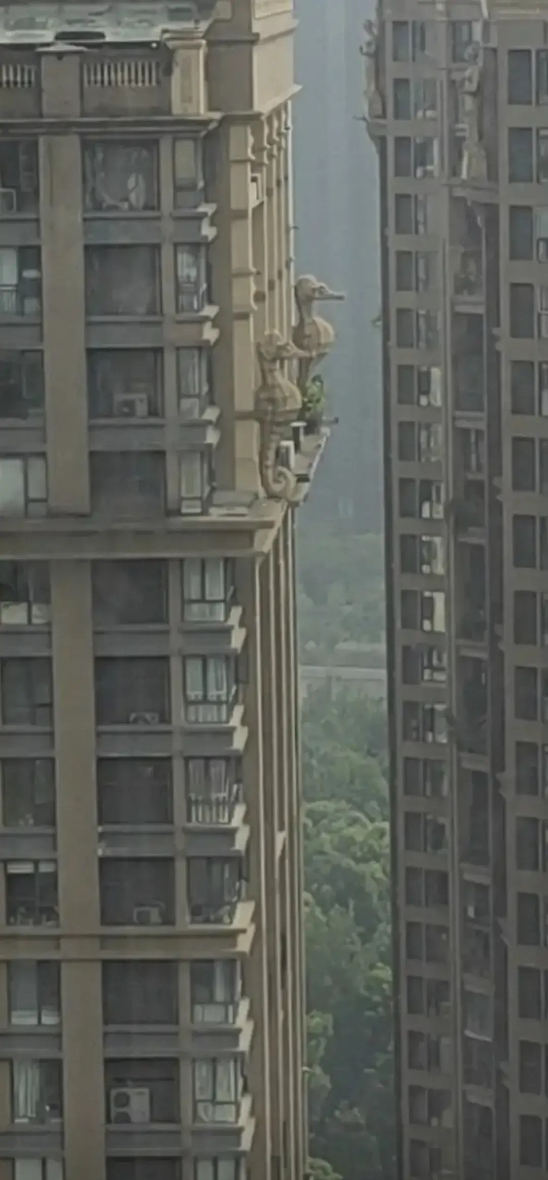 这一户人家真牛啊...