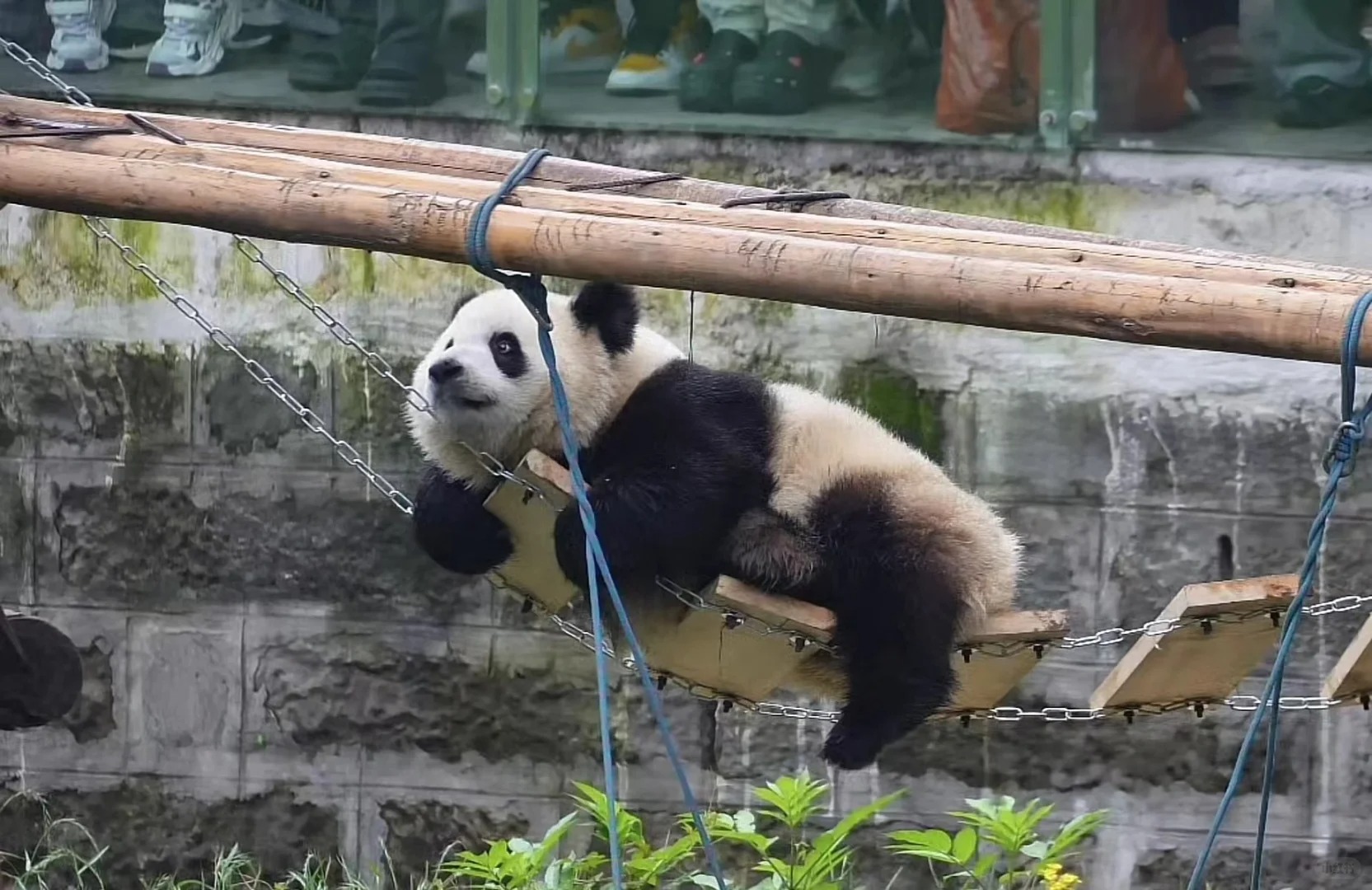因为这个世界上有小渝爱
我时常感到无比的幸福