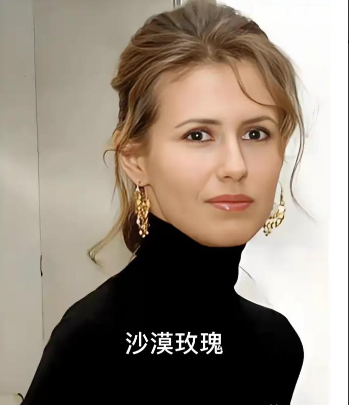 笑不活了！德国女外交部长贝尔伯克突访叙利亚，叙利亚“沙姆解放组织”领导人艾哈迈德
