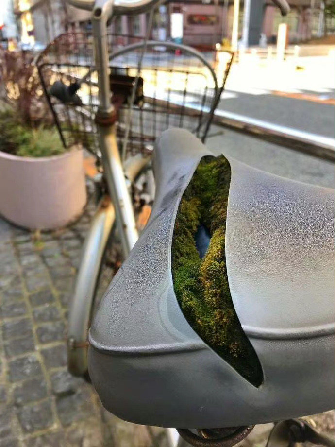 一辆临时停放的自行车