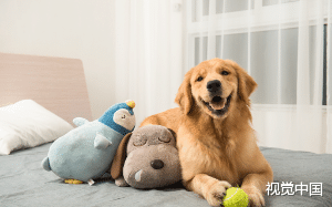 快要咽气的时候，系统告诉我，完成任务可以留你一条狗命！