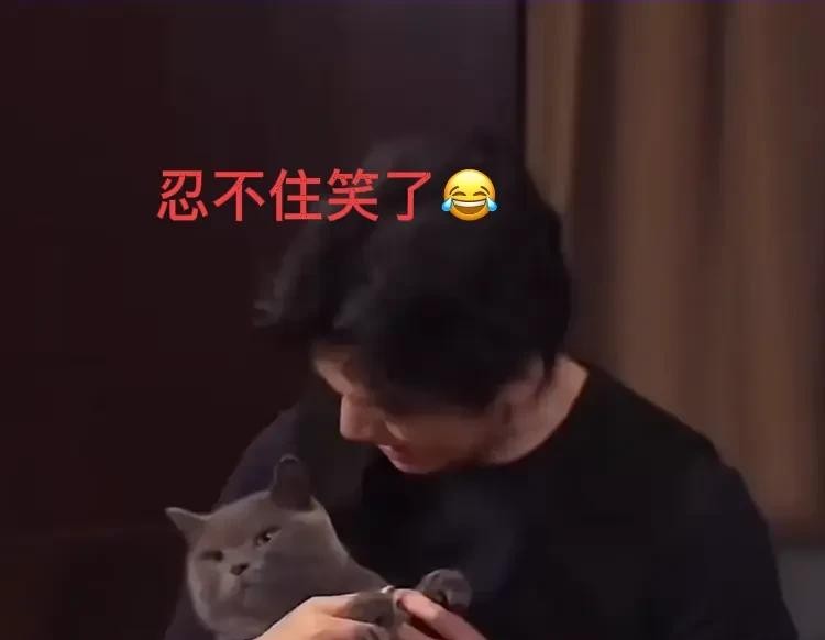 李健新年祝福笑场 网友调侃

                         