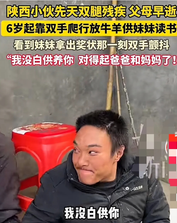 陕西汉中，一小伙自幼双腿残疾，父母英年早逝，他靠着用双手爬行放牛羊，供弟弟妹妹读