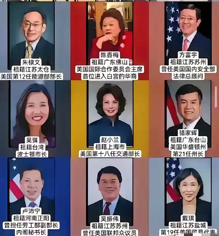 全是华裔，对他们应该是褒还是贬？