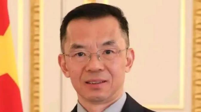 卢沙野获得新的任命之后，西方媒体似乎非常的不高兴！2月6日，根据德国之声报道，在