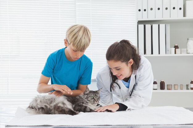 在养猫的日子里，驱虫是一件不可忽视的事情。很多人可能会问：“我的猫咪多大可以开始
