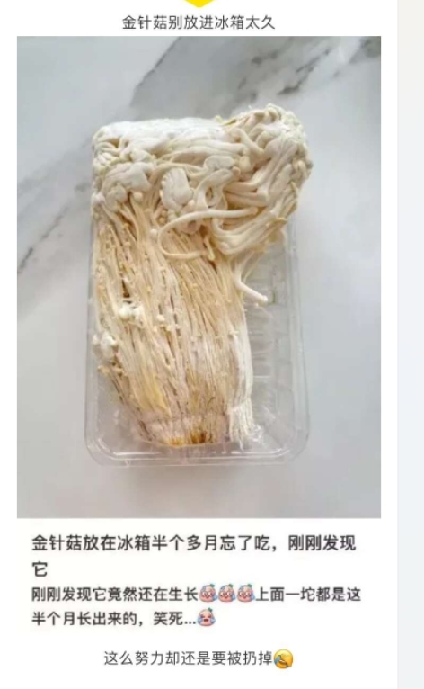 金针菇别放进冰箱太久