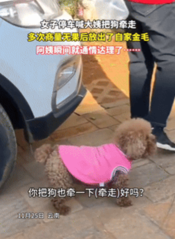 恶人还得恶人磨！大妈遛狗不栓绳还占车位上，女子请大妈让开反被怼：“你了不起啊！”