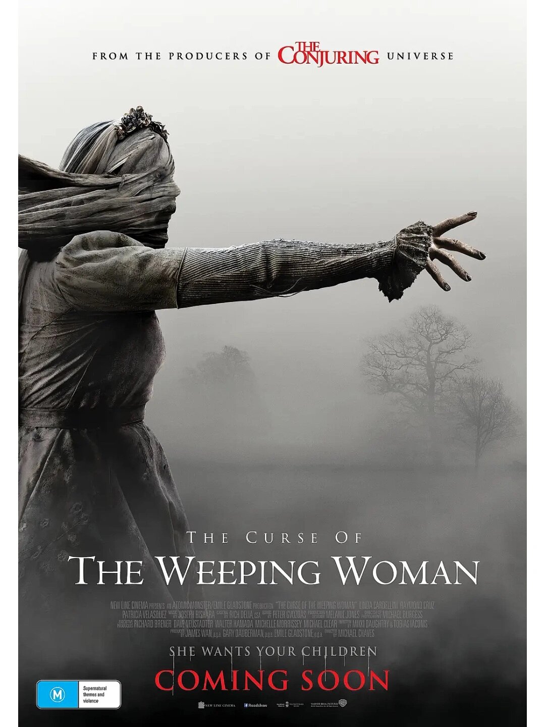 恐怖天花板‼️惊悚‼️温子仁监制‼️