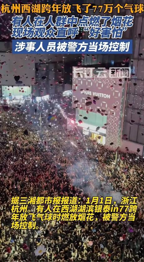 李某可能是2025年全国第一个被刑事拘留的嫌疑犯！
昨天晚上零时许，杭州西湖湖滨