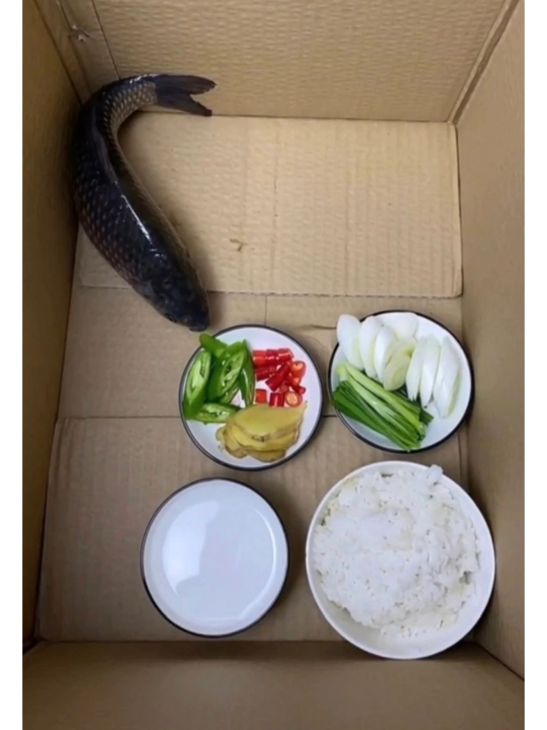 养两天了，就是不吃饭！
