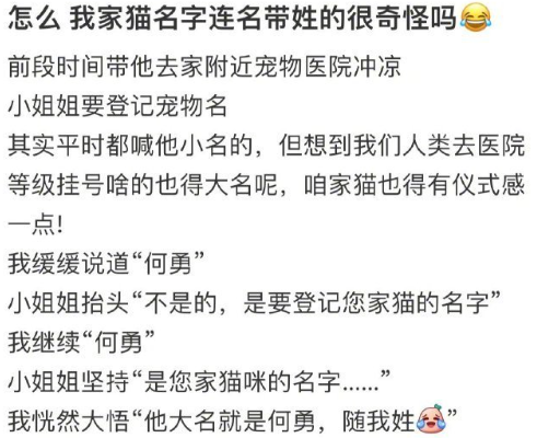 怎么，我家猫名字连名带姓的很奇怪吗