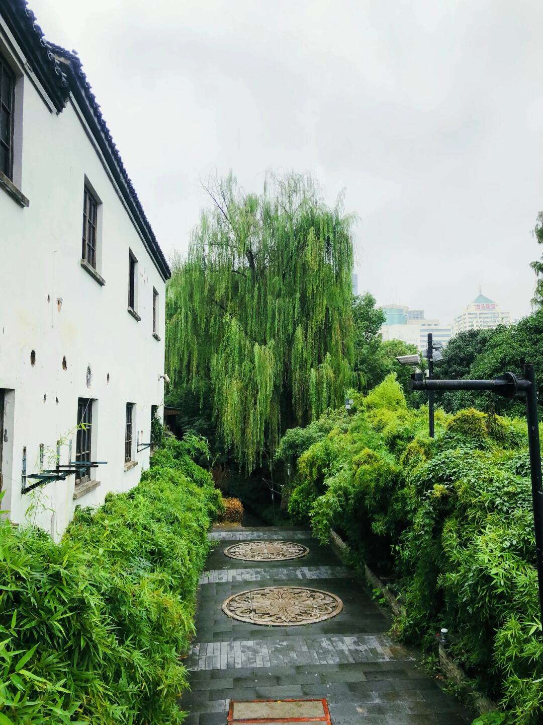 比起西湖，我更喜欢3块钱的水上巴士🛶