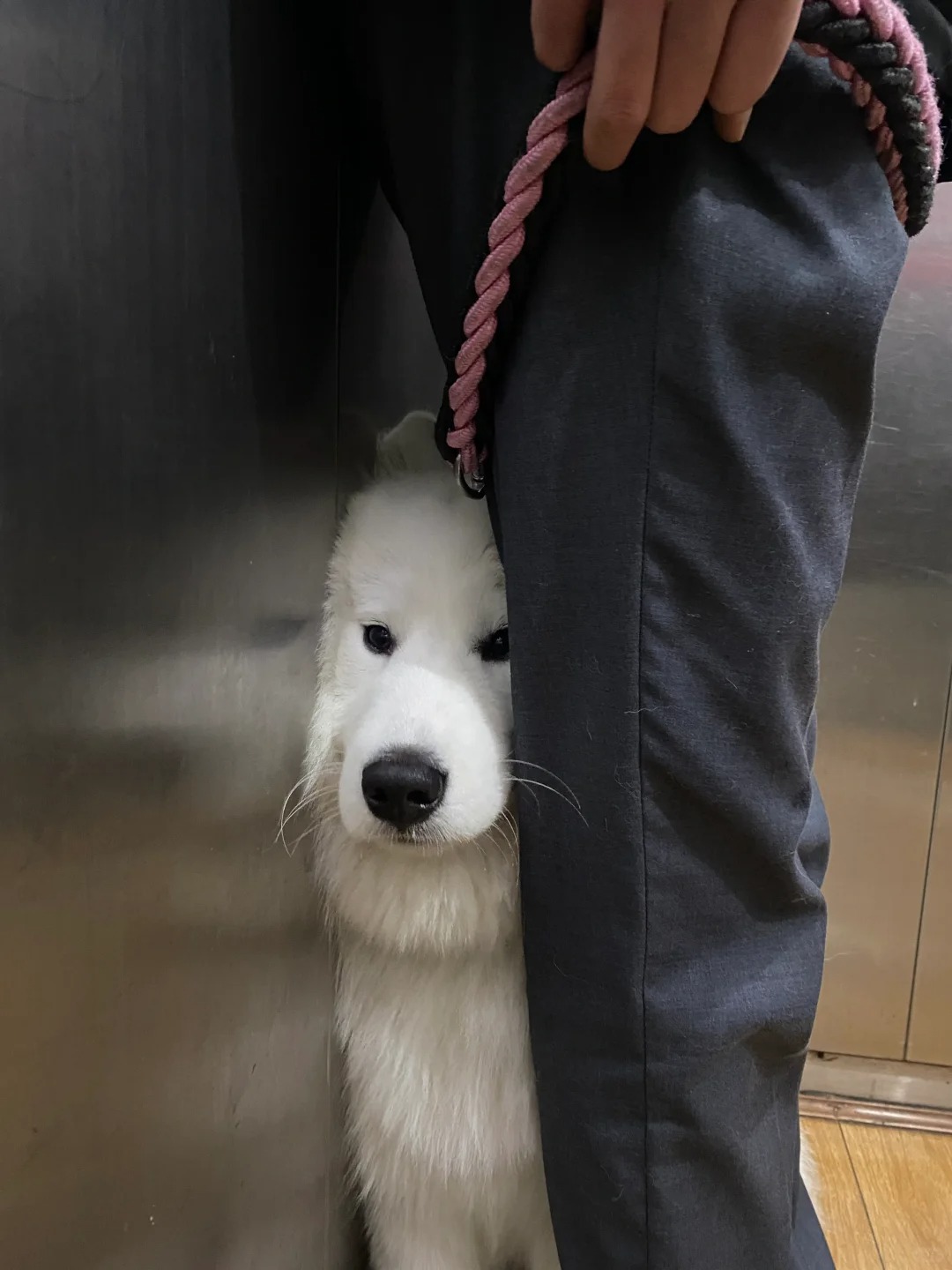 能不能别挤宝宝啦！算了还是笑一下吧