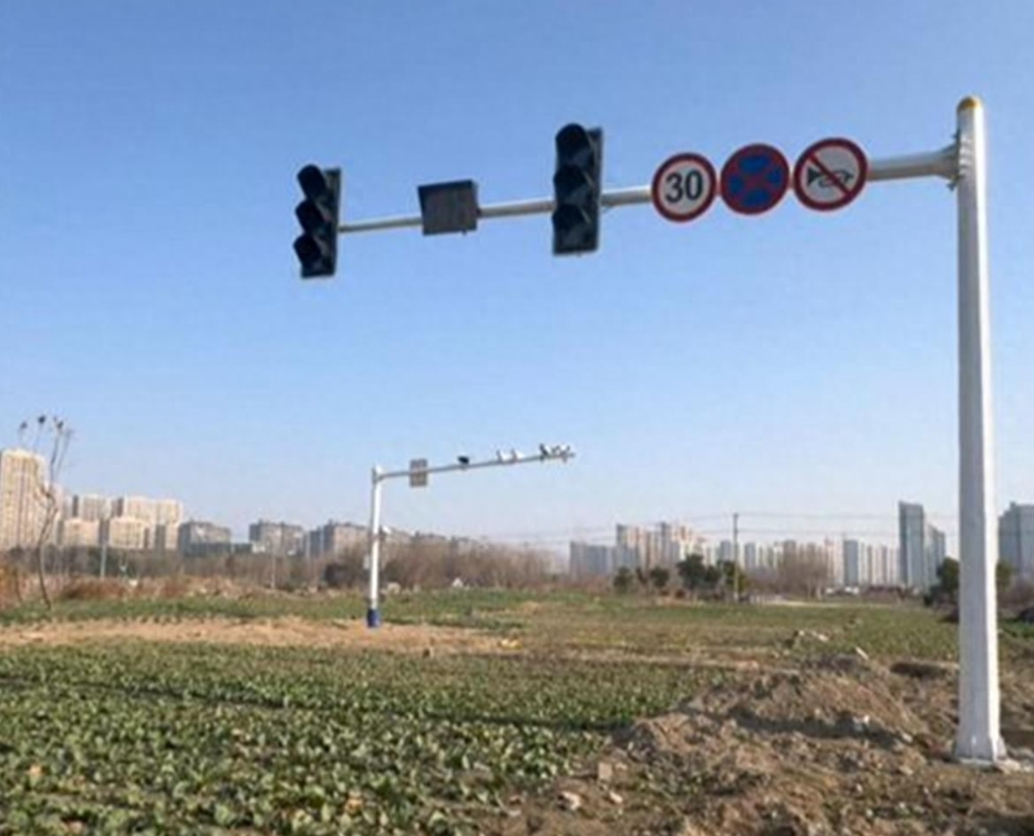 菜地里安装红绿灯，这是什么奇葩事儿？是担心菜长歪了吗？

近日，江苏省南通市崇川