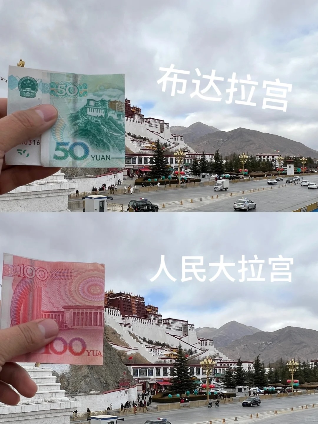 真是来值了，拉萨啥都有#拉萨 #布达拉宫