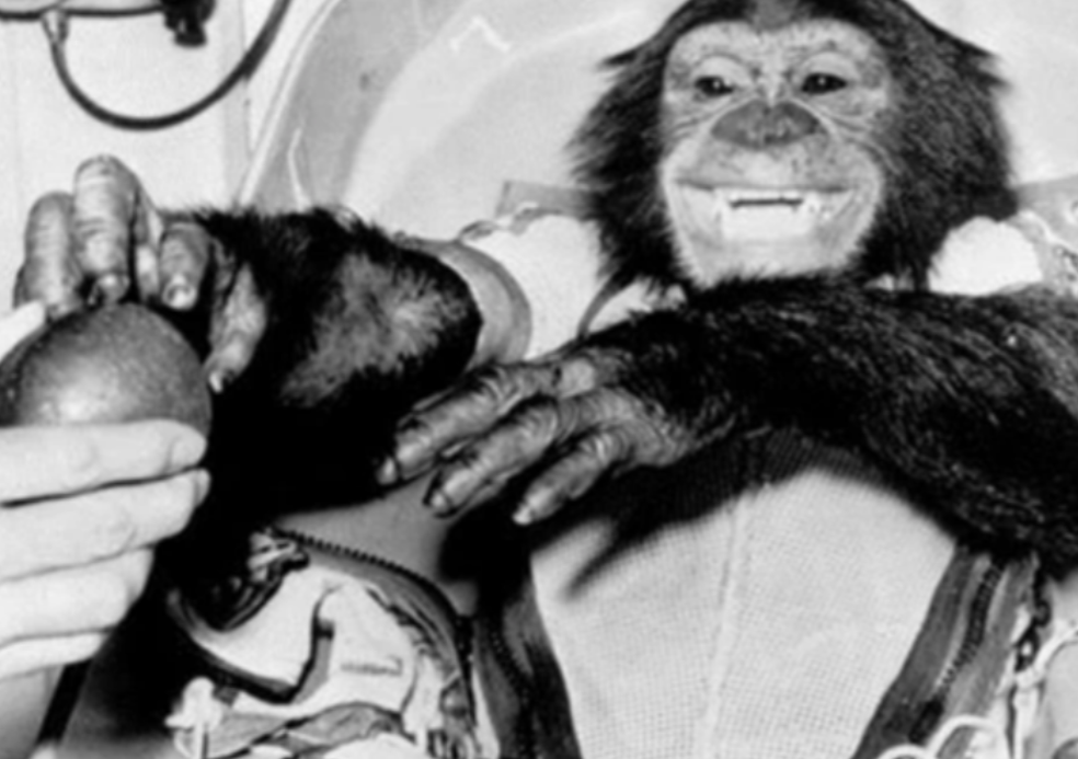 1961年，美国将一只3岁的黑猩猩送上了太空，18分钟回到地球以后，可没过多久，