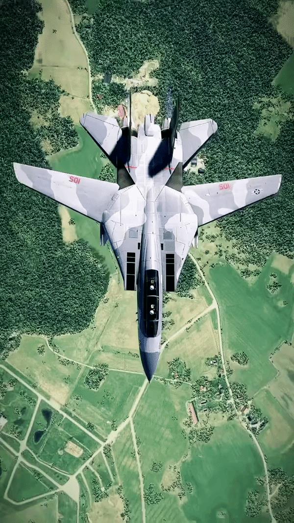 F-14大猫，可变后掠翼确实好看，尤其是这个角度看过去，颜值确实没得挑剔，不过也