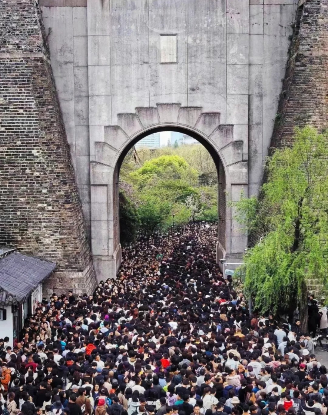 你们… 是来攻打南京的吗………？
没开玩笑 南京有一亿人……
我为南京旅游做出的