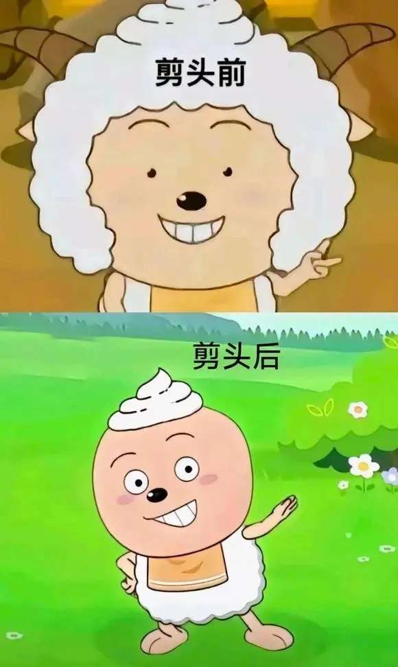 没人能从理发店笑着出来