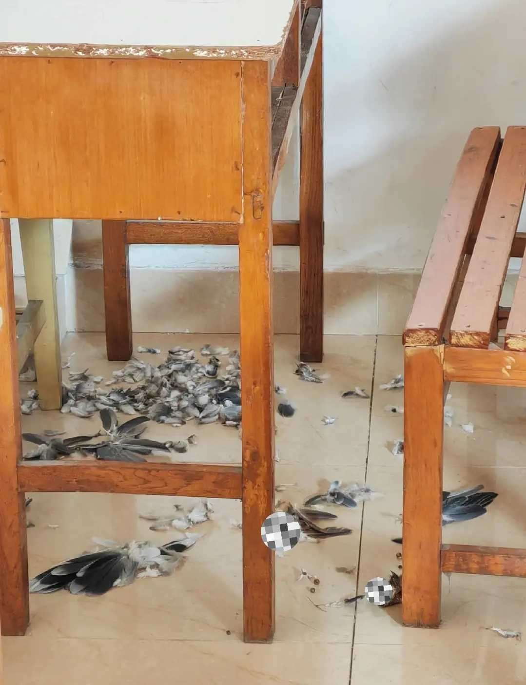 教室发生了什么？