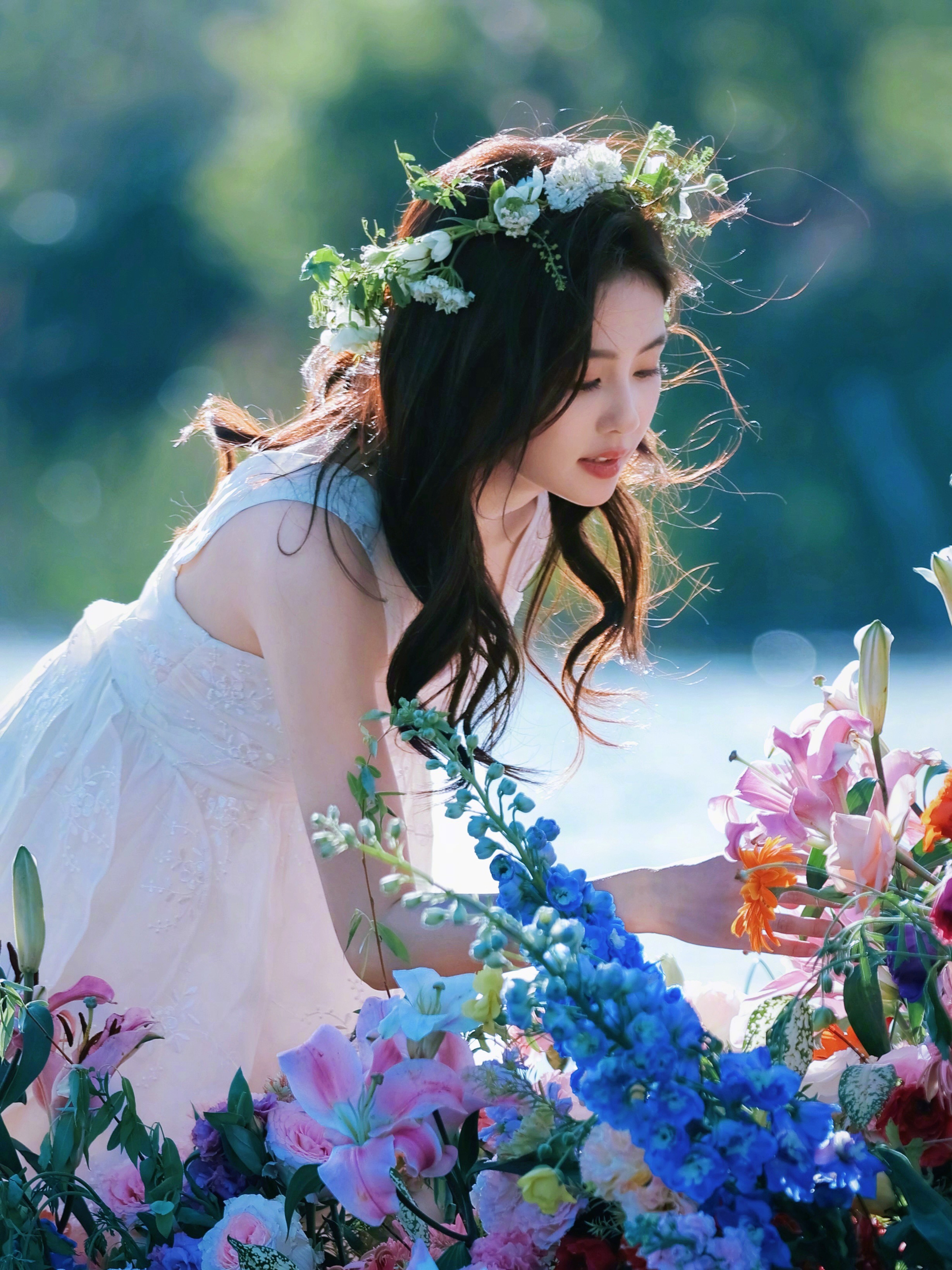 白鹿宛如仙境中的仙子