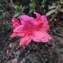 锦绣山水