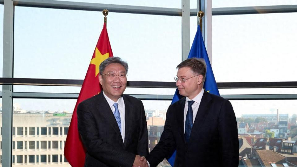 中国暂停欧洲建厂计划，欧盟突然致电中国