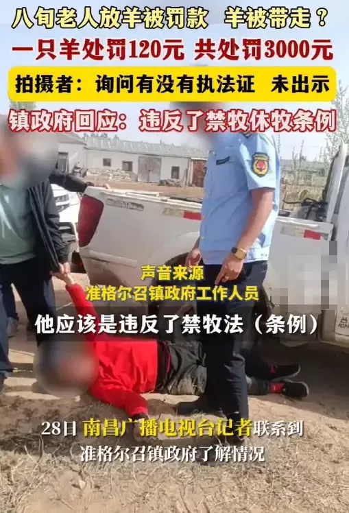 城管又惹祸了！内蒙古准格尔，80多岁老汉在自家门口放羊，几名身穿制服的工作人员上