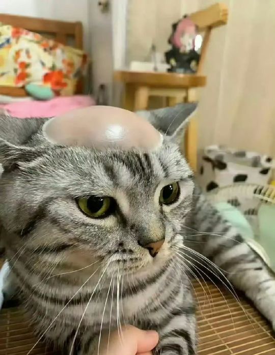 熟悉，但又说不上来！