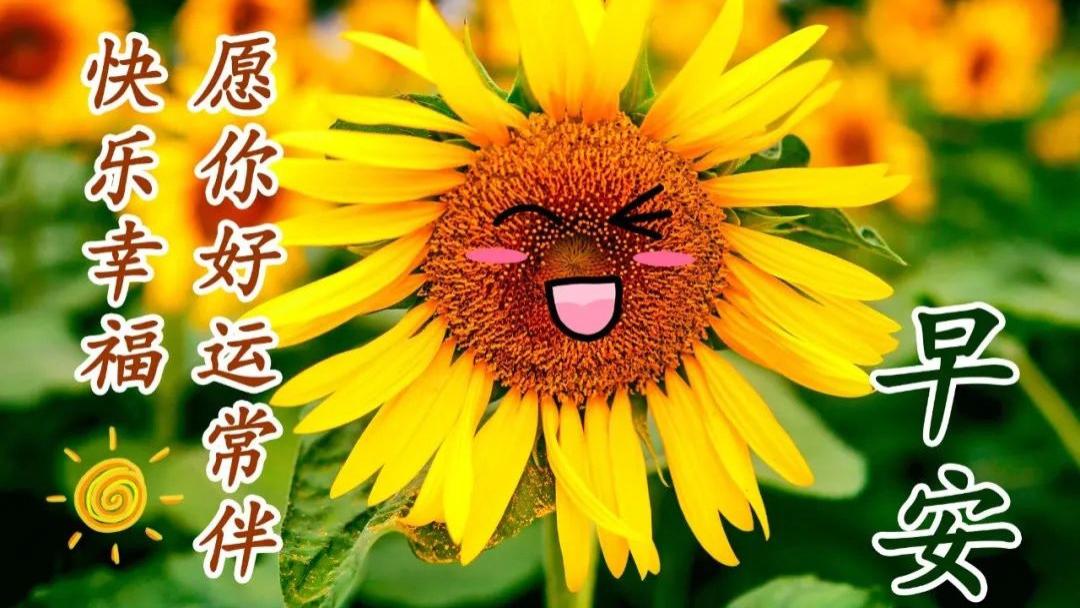 双色球25016期初稿。谁劝都不要的蓝球04，07，11，15！