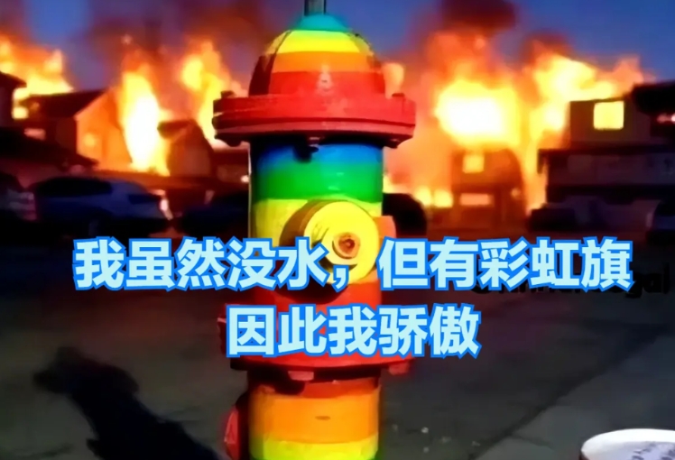 加州山火频发的底层逻辑：帝国末年，所有天灾、都是人祸
老祖宗说过，国之将亡，必有