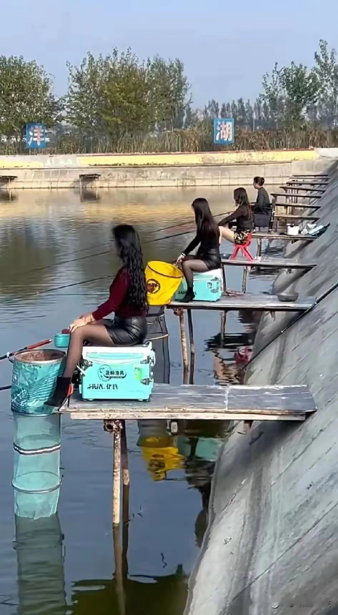 这钓的全是翘嘴吧！ ​​​