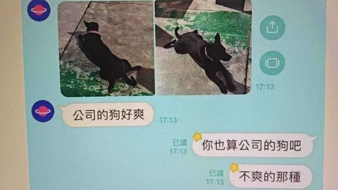 你也算是公司的狗吧