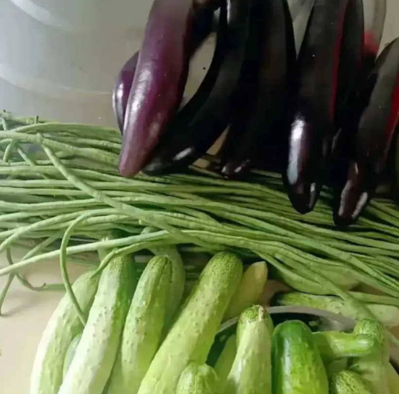等你做婆婆你就明白了！婆婆每年都种菜，种了又不吃，不是给大姑姐送菜，就是给我送菜