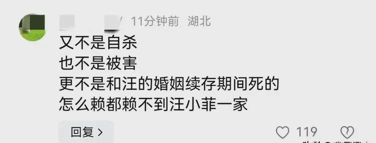  
 
 
S妈喊话各省集合支持，评论区炸了锅。湖北网友直接开怼：既不是自杀也不