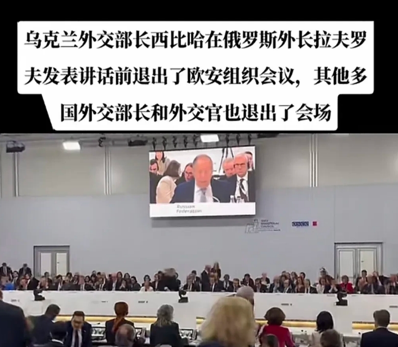 欧洲安全组织会议气氛直接尬掉