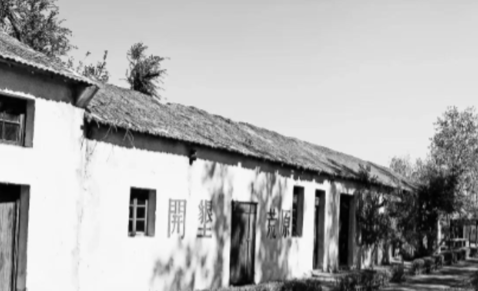 1969年，知青张杨州，因54元失窃被怀疑成小偷，失去返城机会。谁知，他明知实情